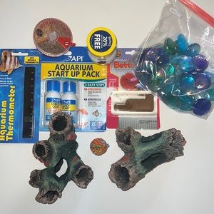 Betta fish bundle